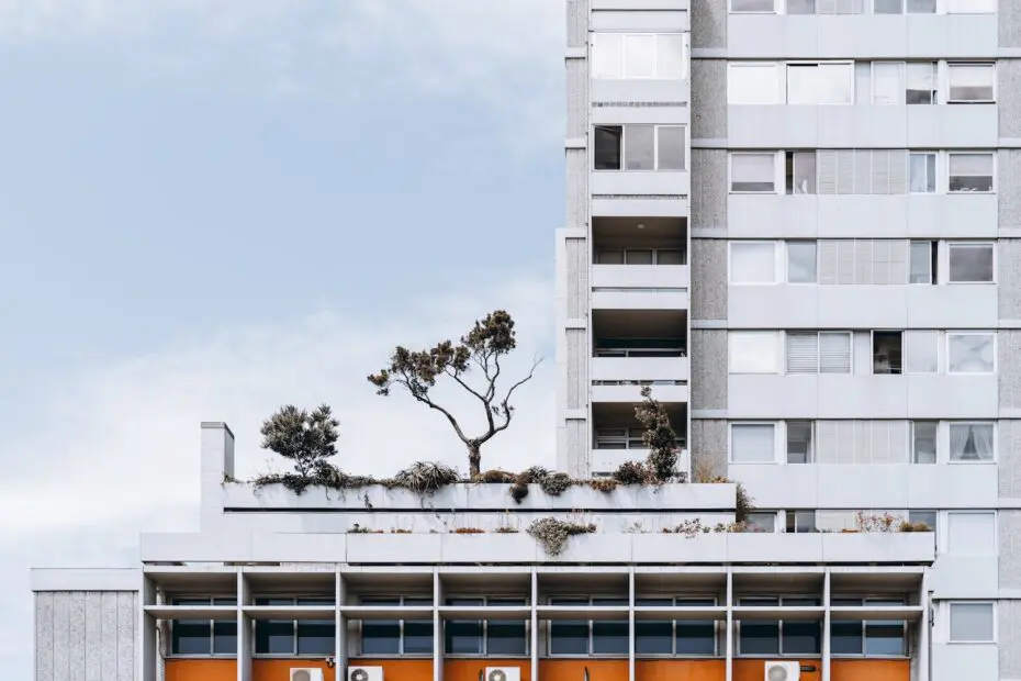Two white apartment facades the smaller one in the foreground, has a wild garden growing on the terrace