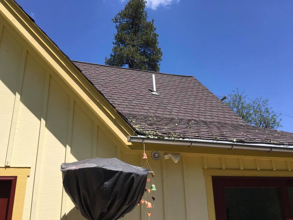 Corner of small yellow house with dark grey roof